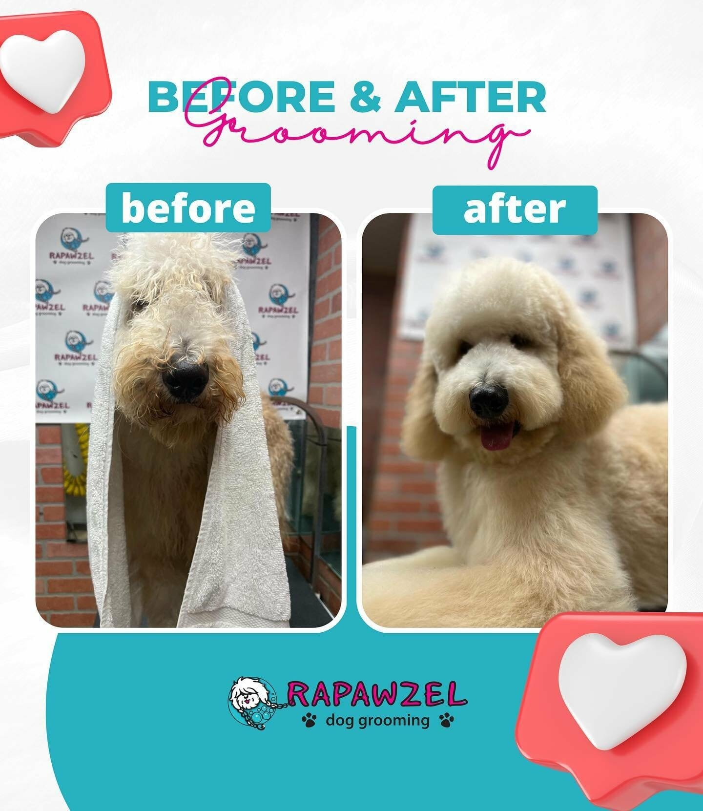 Pamper your pets with Rapawzel!