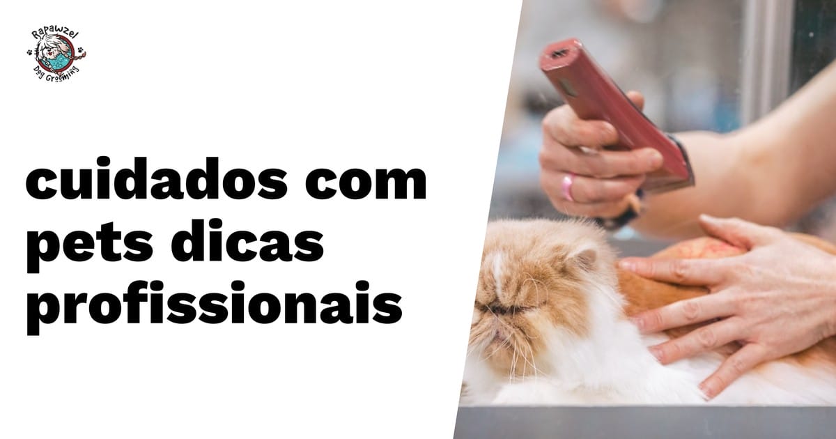 Person grooming a fluffy cat with electric clippers; Portuguese text on the left reads "cuidados com pets dicas profissionais.